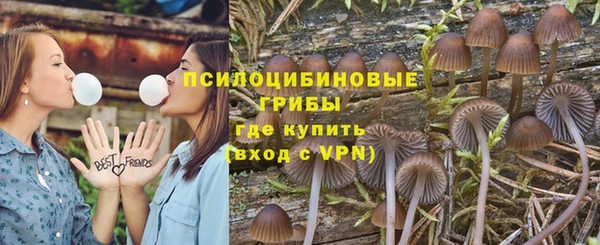 стаф Коряжма