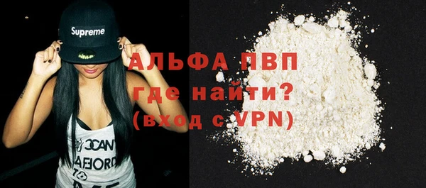 стаф Коряжма