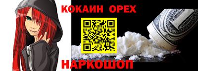 apvp Гатчина