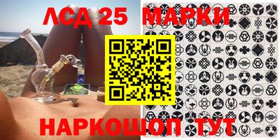 apvp Гатчина