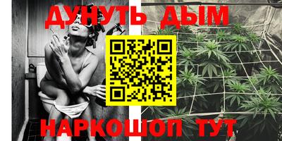 гидра Гагарин