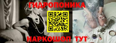 apvp Гатчина