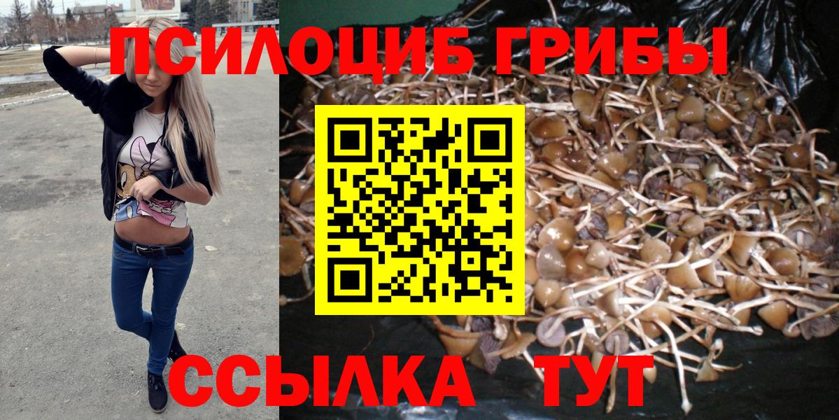 Галлюциногенные грибы ЛСД  Псилоцибиновые грибы Psilocybe  Октябрьский  Вход с VPN 