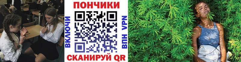 Шишки марихуана OG Kush  Октябрьский 