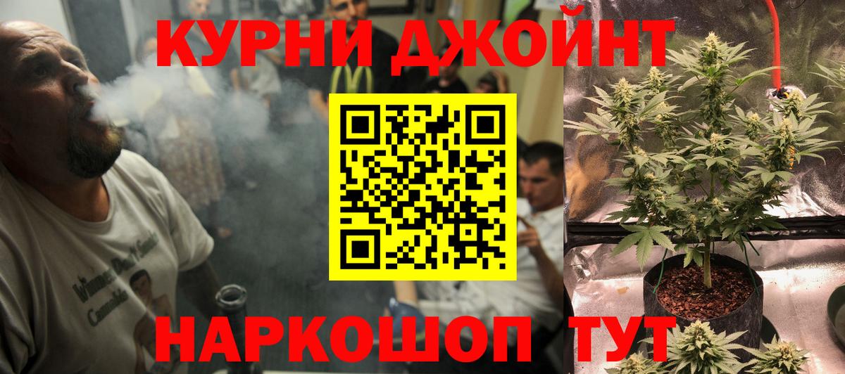 Марихуана семена Октябрьский